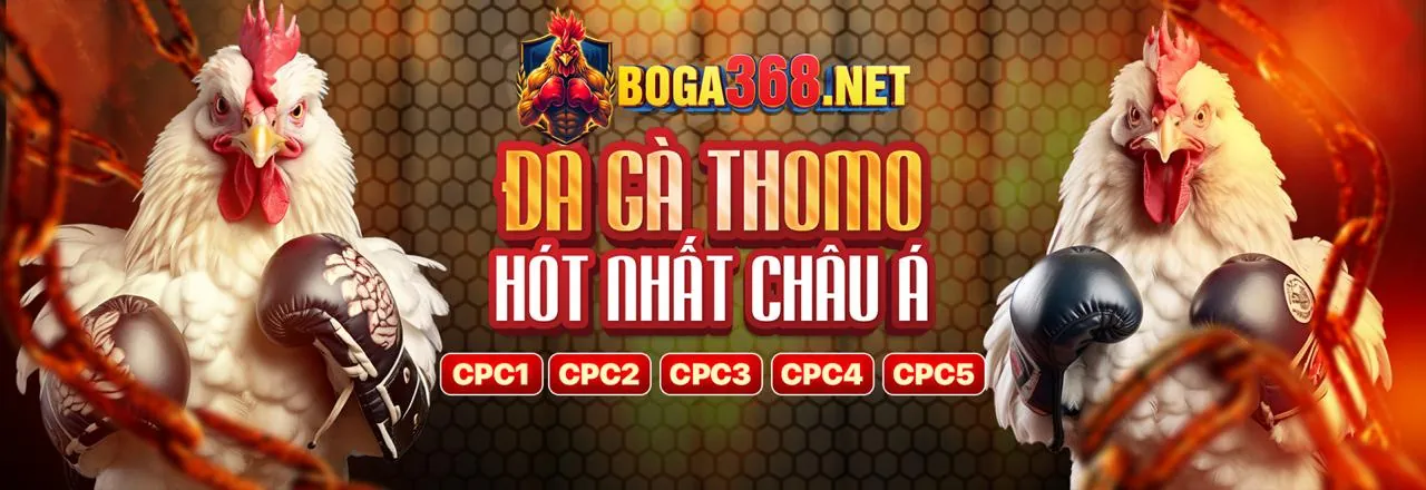 Hình ảnh chính các khuyến mãi tele789